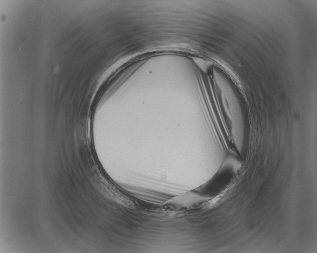 X0000081451324200702021732