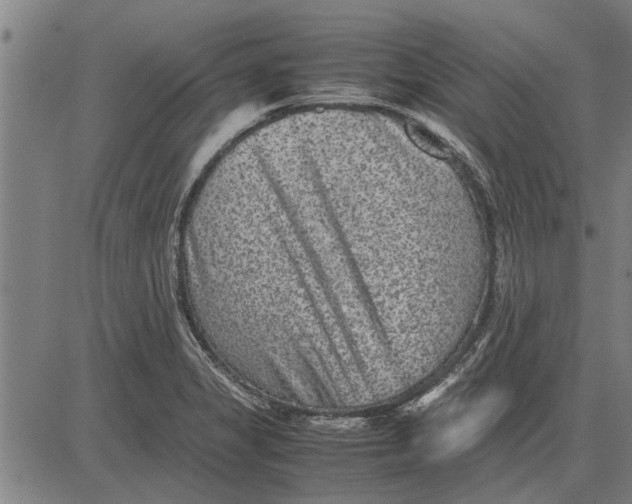 X0000081451325200702021732