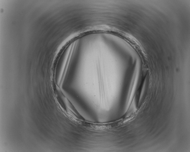 X0000081451326200702021732