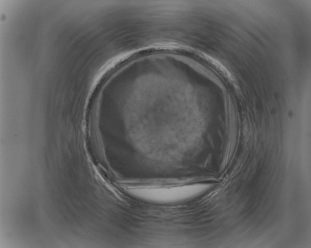 X0000081451327200702021732