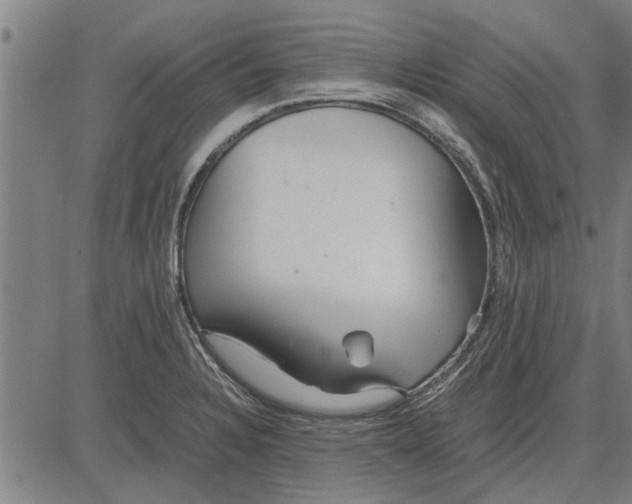 X0000081451328200702021732