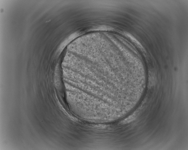 X0000081451329200702021732