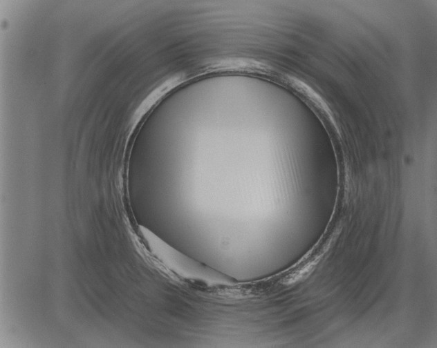 X0000081451330200702021732