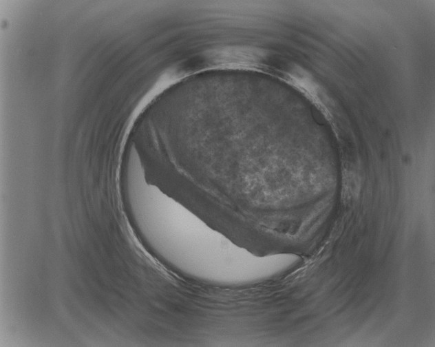 X0000081451331200702021732