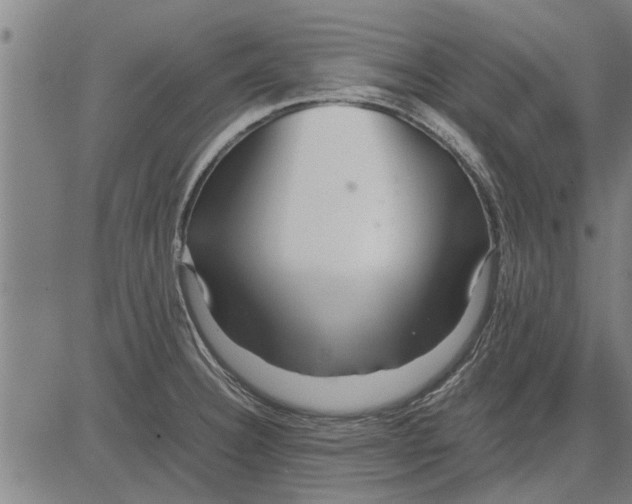 X0000081451332200702021733