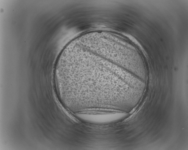 X0000081451333200702021733