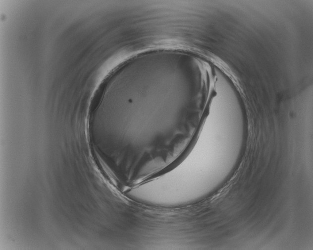 X0000081451334200702021733