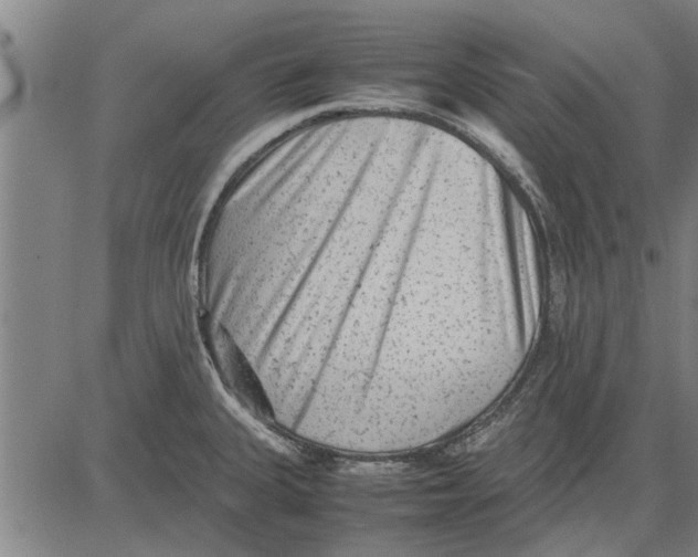 X0000081451335200702021733