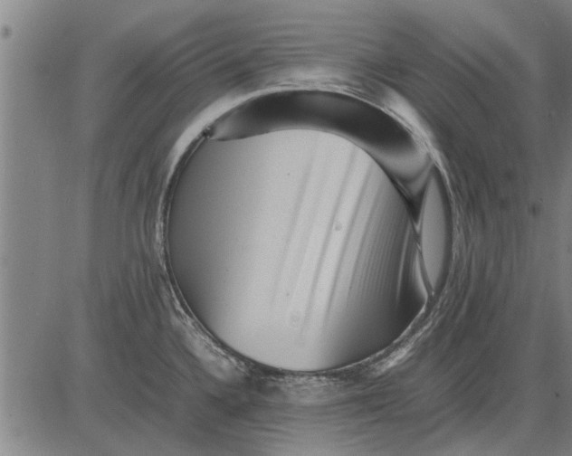 X0000081451336200702021733