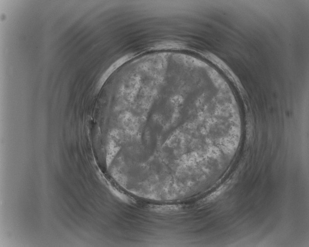 X0000081451337200702021733