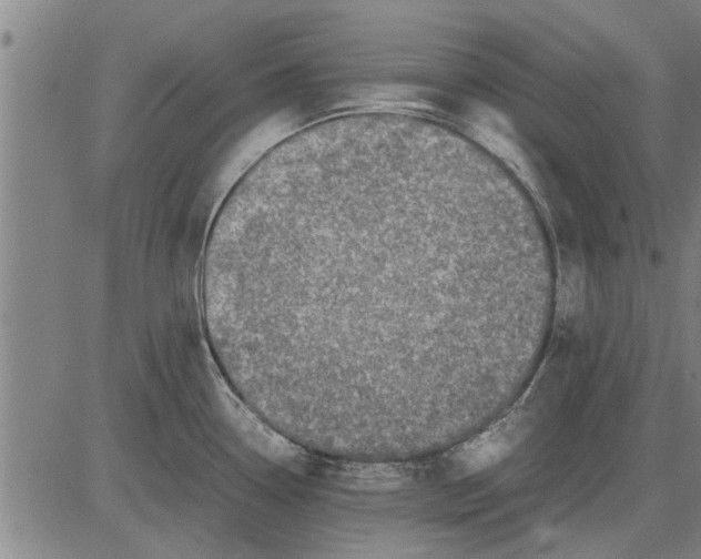 X0000081451338200702021733