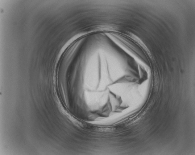 X0000081451339200702021733