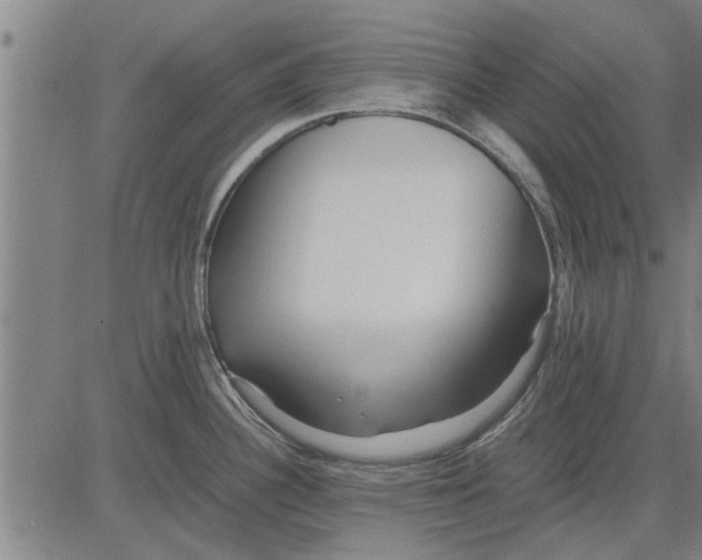 X0000081451340200702021733