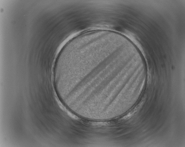 X0000081451341200702021733