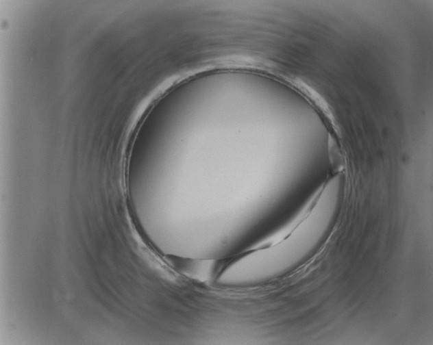 X0000081451342200702021733