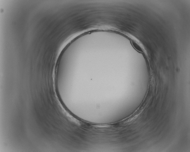 X0000081451343200702021733