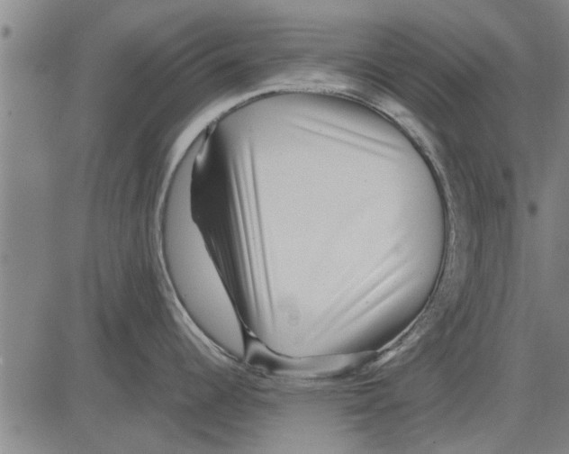 X0000081451344200702021733