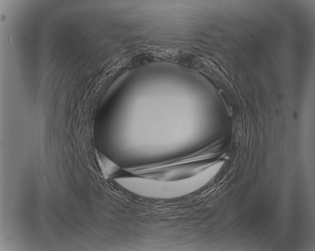 X0000081451345200702021732