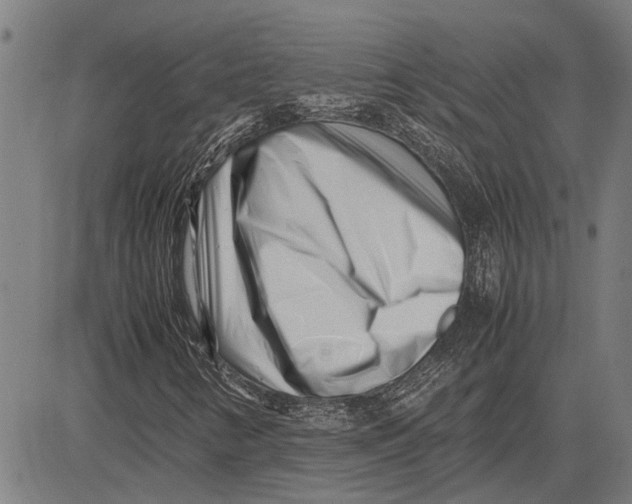 X0000081451346200702021732