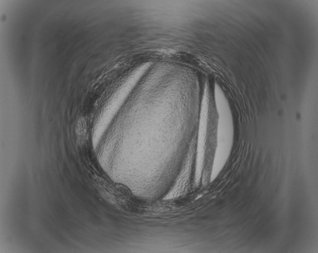 X0000081451347200702021732