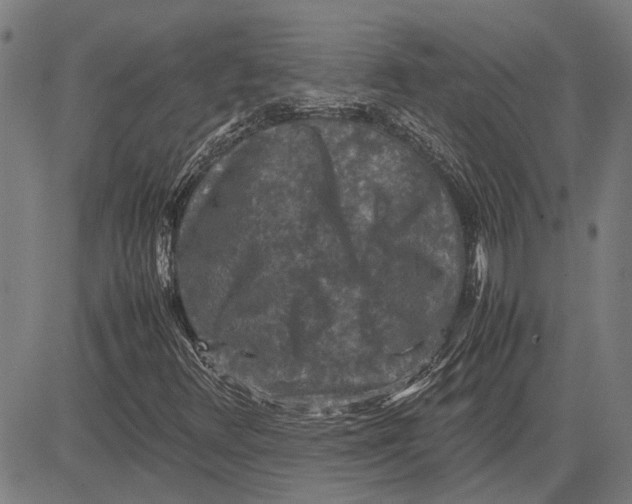 X0000081451348200702021732