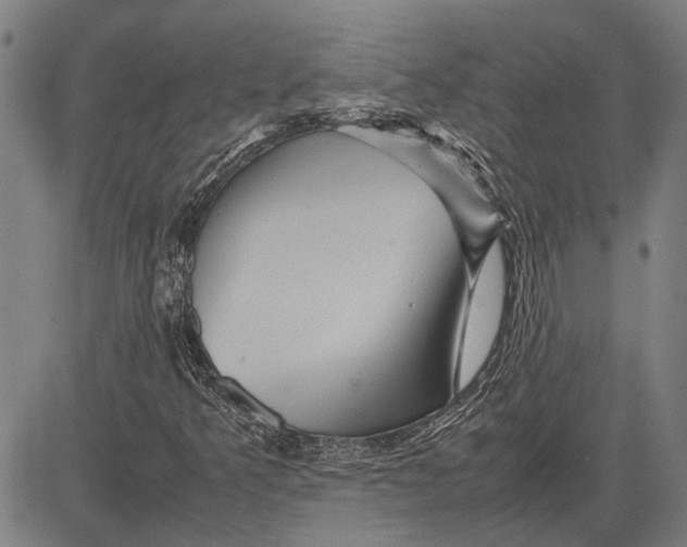 X0000081451349200702021732