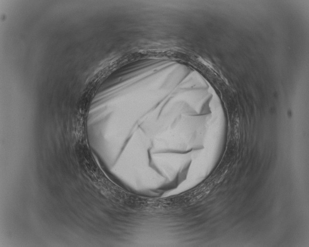 X0000081451350200702021732