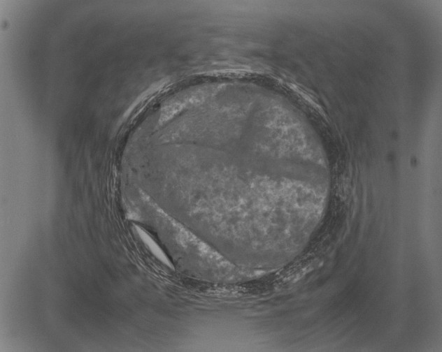 X0000081451351200702021732