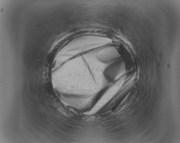 X0000081451352200702021732