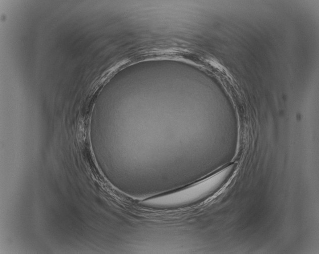 X0000081451353200702021732