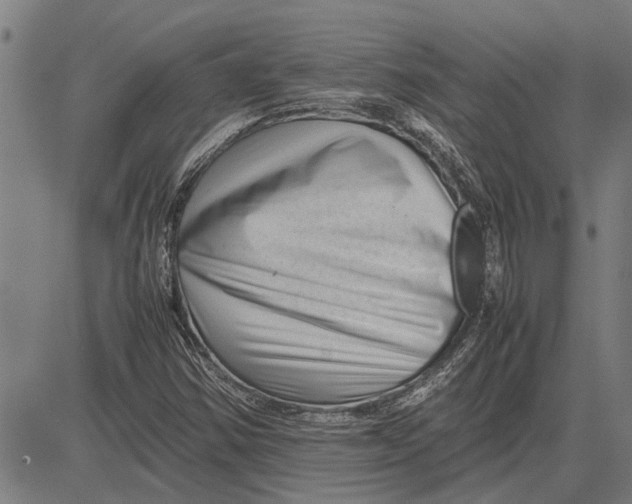 X0000081451354200702021732