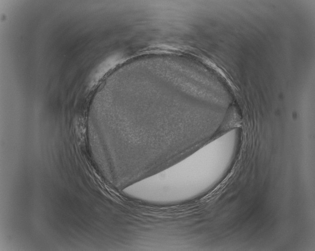 X0000081451355200702021732