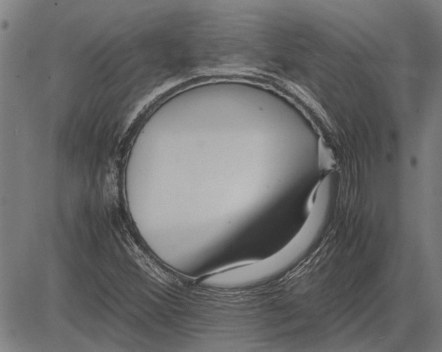 X0000081451356200702021732