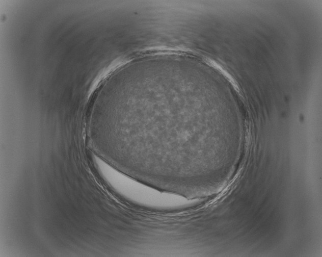 X0000081451357200702021732