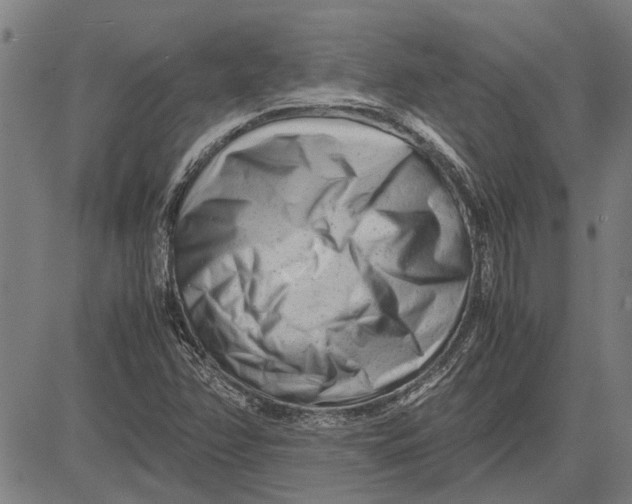 X0000081451358200702021732