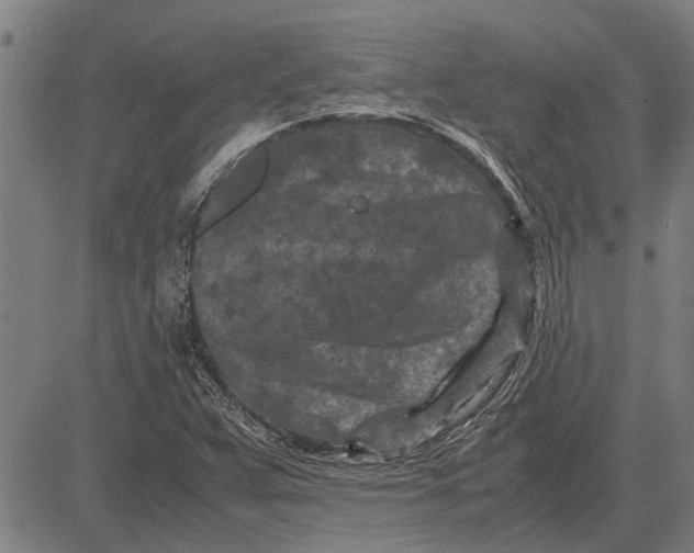 X0000081451359200702021732