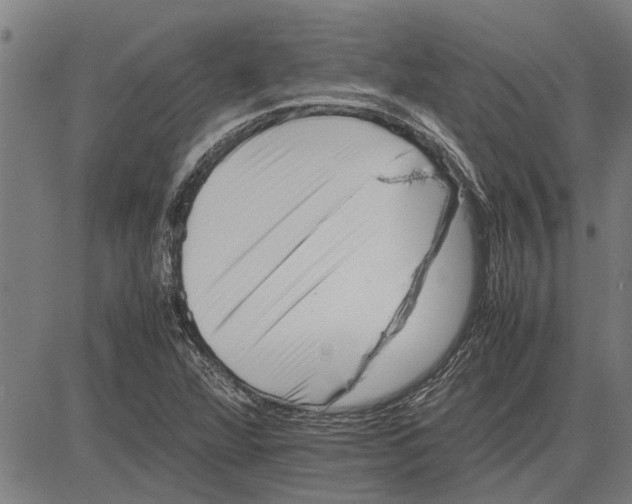 X0000081451360200702021732