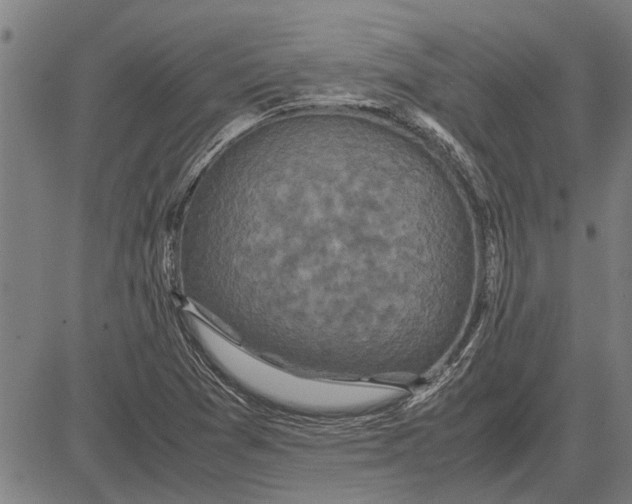 X0000081451361200702021732