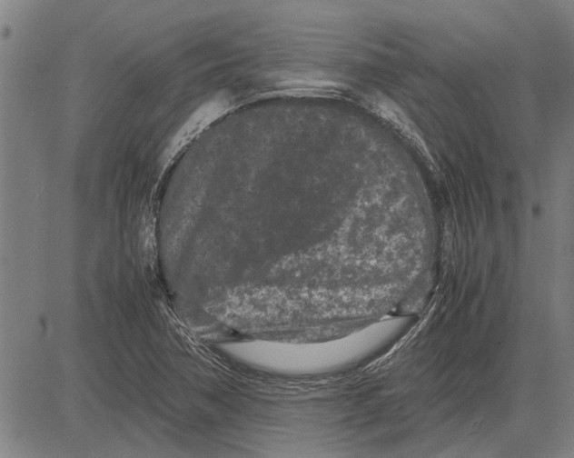 X0000081451362200702021732