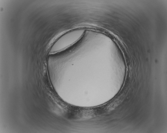 X0000081451363200702021732