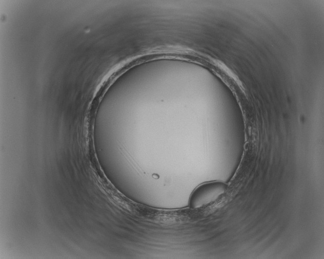 X0000081451364200702021732