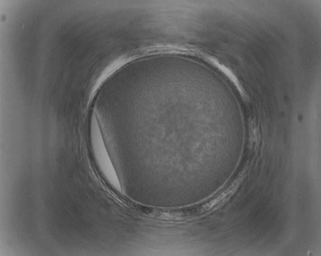 X0000081451365200702021732