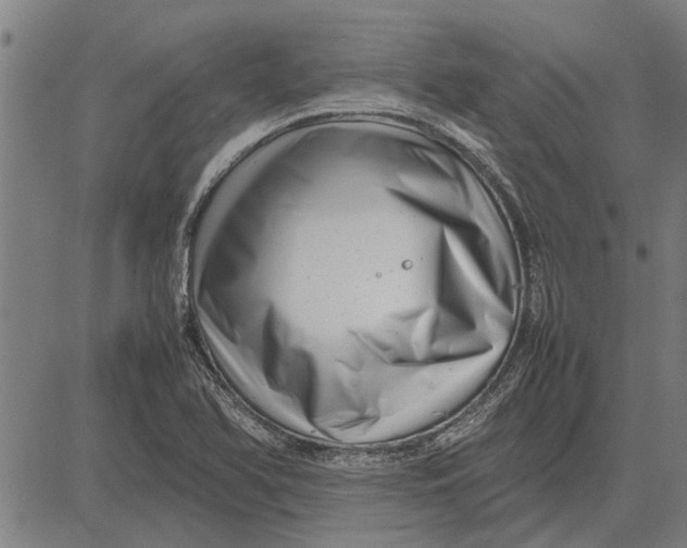 X0000081451366200702021732