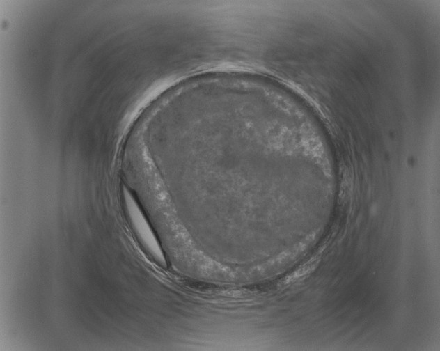 X0000081451367200702021732