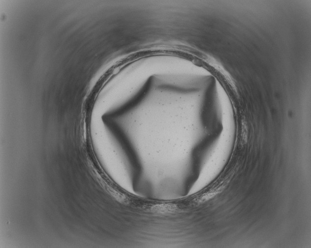 X0000081451368200702021732