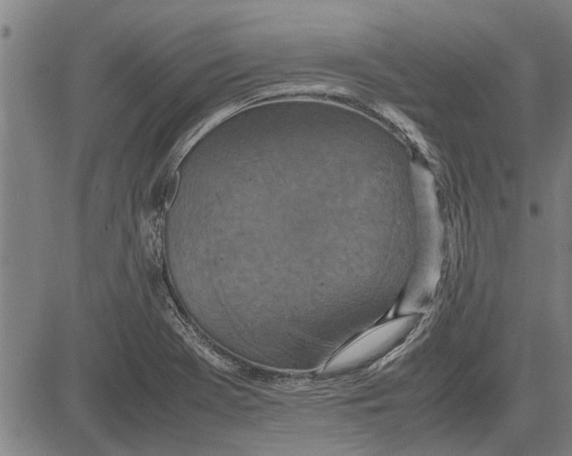 X0000081451369200702021732