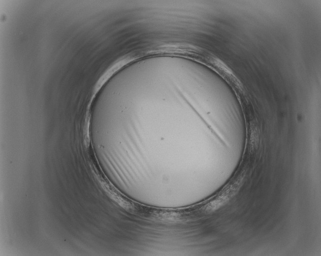 X0000081451370200702021732