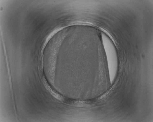 X0000081451371200702021731