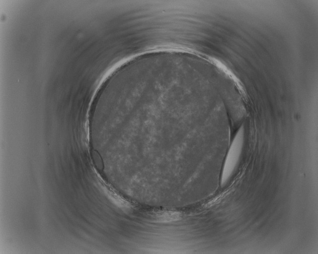 X0000081451372200702021731