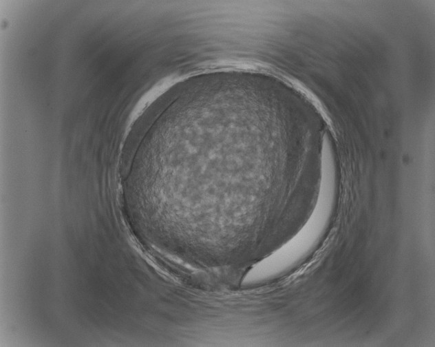 X0000081451373200702021731